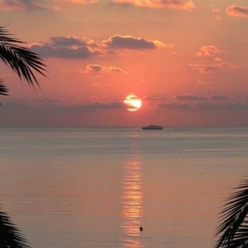Ảnh đại diện người dùng Thảo